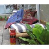 Summer clearance on lamps, clothing and accessories Summer clearance on lamps, clothing and accessories