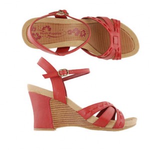 Massive Stock Clearance