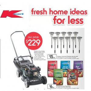 Fresh Home Ideas for Less