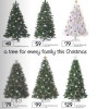 Ends Dec 8......catalogue out now