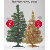 Ends Dec 8......catalogue out now
